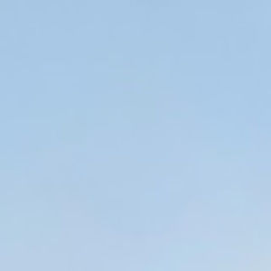 Meet your Posher, Marlene